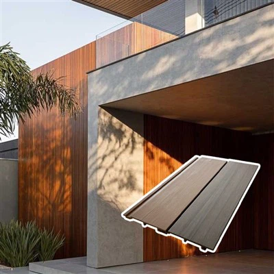 OEM/ODM -tjenester tilbød leverandør av ASA -sidespor